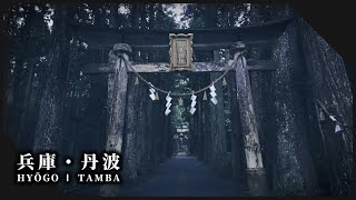 兵庫丹波の秋雨滴り神秘的に輝く神社仏閣3選 l Shrines and temples surrounded by beautiful nature in Hyogo 【Hyogo Tamba】