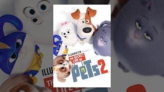 Download lagu The Secret Life of Pets 2 mp3 Download lagu The Secret Life of Pets 2 mp3