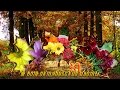 Цветы октября и красивая музыка для тебя, красавица! 