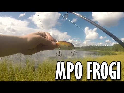 Uistintestit | MPO FROGI | Kalastus