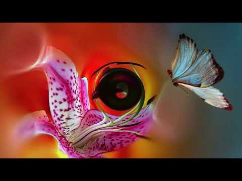 Let There Be You (Cavanaugh) Backing track + music sheet