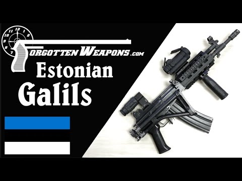 Leaning Westward: Galils for Estonia