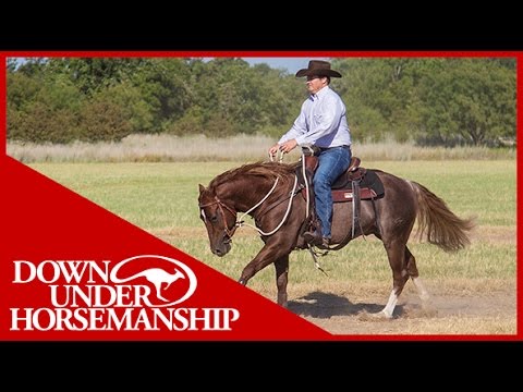 Clinton Anderson: Controlled Cruising Exercise - Downunder Horsemanship
