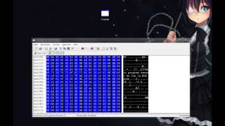 Good #3 How to crack a programm using HEX Editor