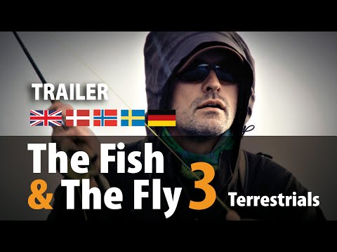The Fish & The Fly 3 Terrestrials
