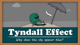 Tyndall Effect - Why does the sky appear blue? | #aumsum #kids #science #education #children