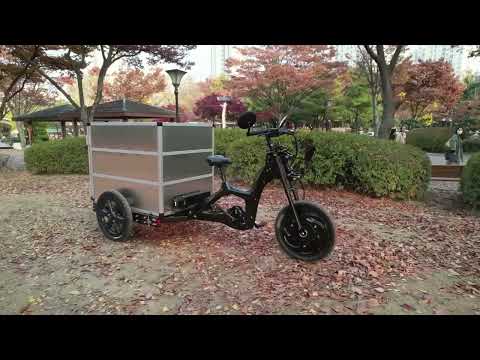 Autumn in Korea with ECCOV cargo bike
