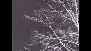 Piano Magic - Disaffected