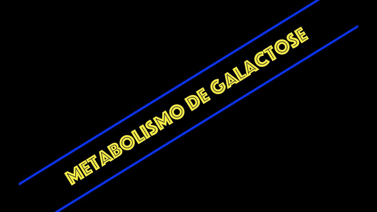 Metabolismo de Galactose