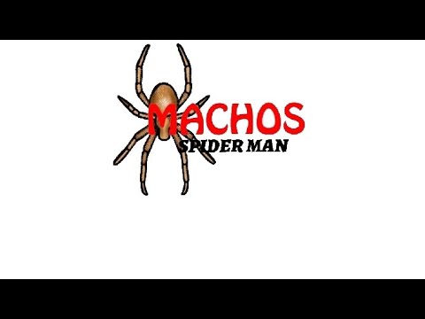 MACHOS SPIDER MAN - PA LA RAZA
