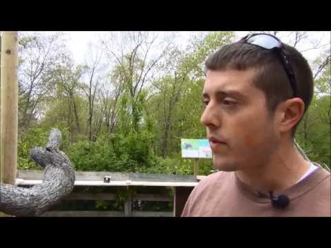 The Sloth Habitat with Luke at Southwick's Zoo in Mendon MA