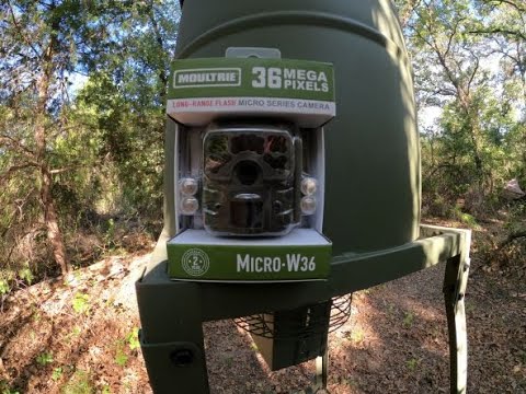Moultrie Micro-W36