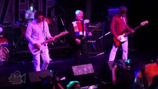 The Buzzcocks - Encore: Everybody&#39;s Happy Nowadays (Live in Sydney) | Moshcam