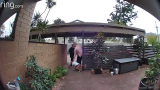 Porch Pirates Getting Confronted by Homeowners | Package Thieves Get What They Deserve