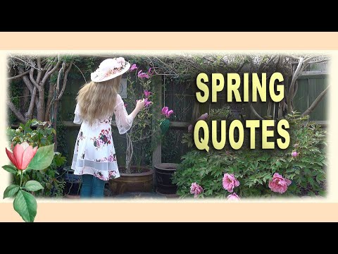 Spring Slogans