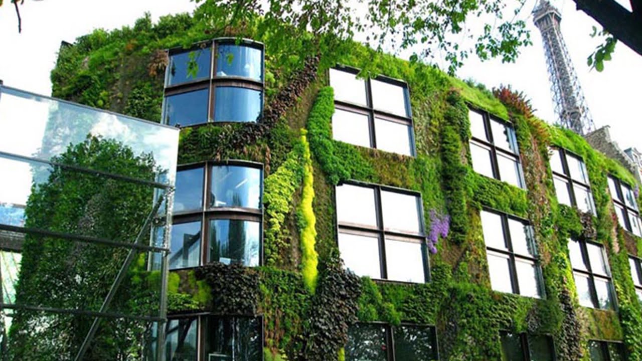 The Nature of Cities