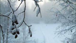 Mudvayne-A world so cold (with lyrics)