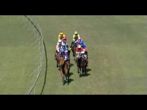 TWICE THE TRIP - 2021 DEVON AIR STAKES (Listed) Greyille