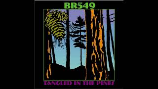 BR549-That's What I Get