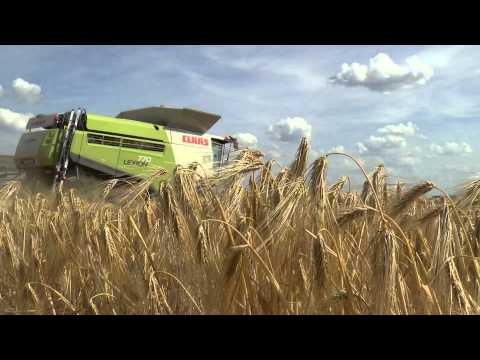 Claas Lexion 770 TT im Ersteinsatz 2015