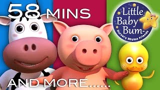 Old MacDonald Had A Farm & More Classic Rhymes! | 32 Videos | 58 Minutes Long | From LittleBabyBum