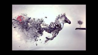 Laraaji   Meditation No  2