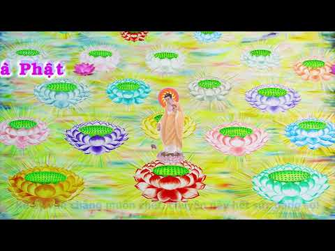 HD | Kinh A Di Đà Sớ Sao Diễn Nghĩa, tập 235 [phụ đề] - Lão Pháp Sư Tịnh Không