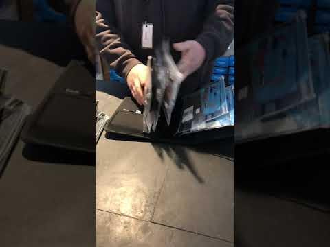 Oceans Legacy Scout Series