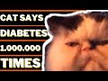 CAT SAYS DIABETES 1,000,000 TIMES | DIABEETUS VINE ONE MILLION TIMES MEMES