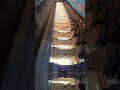 looking like painting 🎨# rameshwaram temple ##₹ India's largest corridor ##