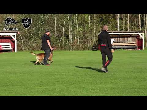 Erik Engeland & Crutt B