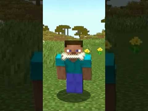 Unbelievable: Minecraft Steve with Beard and Bee In Damsel