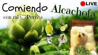🔴LIVE: Comiendo Alcachofa con🐶Candy y🤓Lorentix