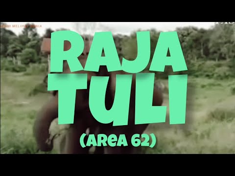 AREA 62 - RAJA TULI