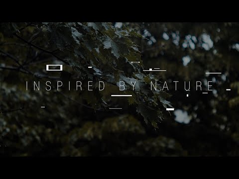 Dualtrx - Inspired By Nature (Teaser)