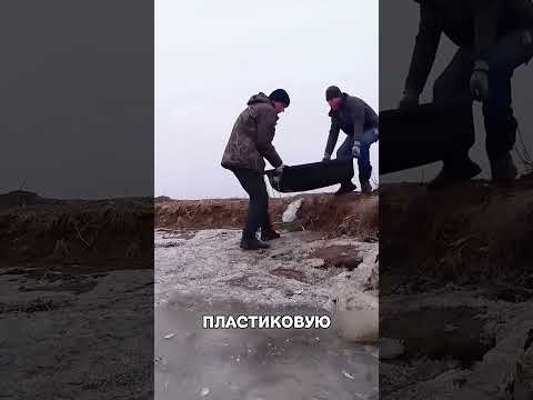 Суровый сибиряк защитил целое озеро рыбок😱🐟🛑