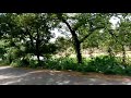 Awesome Ride In Konaseema Ravulapalem Road