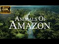 Amazon Animals In 8K ULTRA HD | | Amazon Rainforest