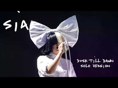 Dusk Till Dawn (feat. Sia) - Radio Edit