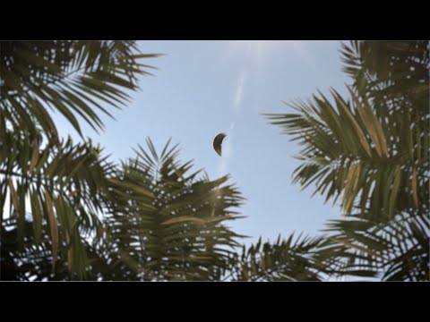 download lagu mp3 mp4 Kronos Oasis, download mp3 Kronos Oasis free downloadn, video klip Kronos Oasis