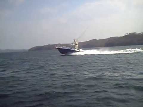 APEX Boats QUEPOS350