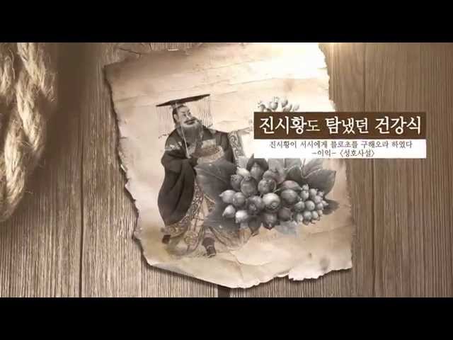 황칠나무란?