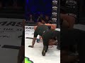 STRONG Punches by Costello van Steenis! ? #shorts #bellator296