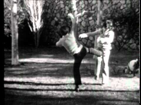 Els Pets - Pantalons curts i els genolls pelats