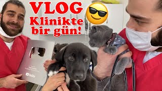 VLOG | 100BİN ABONE PLAKETİMİZ GELDİ! Veteriner Kliniğinde Bir Gün Nas