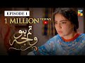 Tum Ho Wajah Episode 1 | English Subtitles | HUM TV Drama 20 April 2020