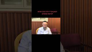 28 באוגוסט 2025 (רדיו כל האמת) - התמונה מוצגת ישירות מתוך אתר האינטרנט יוטיוב. זכויות היוצרים בתמונה שייכות ליוצרה. קישור קרדיט למקור התוכן נמצא בתוך דף הסרטון