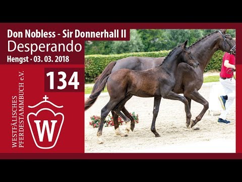 134 Desperando HF v. Don Nobless - Sir Donnerhall II