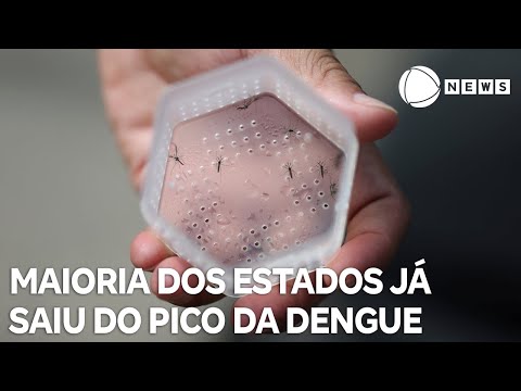 Maioria dos estados no Brasil já estão fora do pico da dengue, diz secretária de vigilância em Saúde