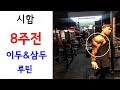현명하고 굵은 팔 만들기 이두&삼두 루틴!
